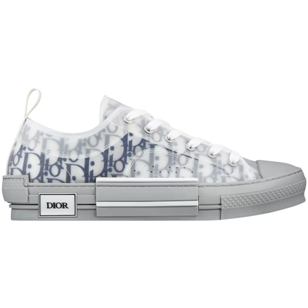 Dior B23 Low Top Gray