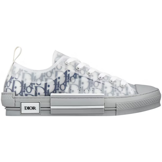 Dior B23 Low Top Gray