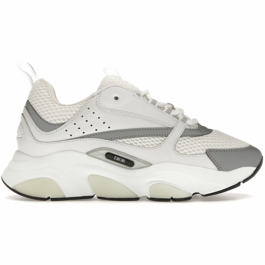 Dior B22 White Silver