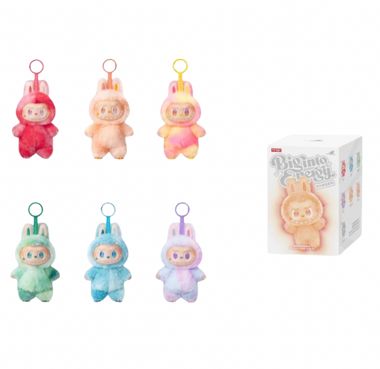 Labubu 6x Box